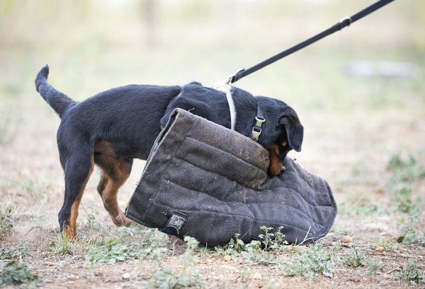 Les dangers du vélo de montagne et comment les éviter
